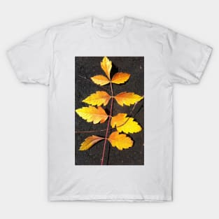 Forest Bathing with the Warmth of Autumn Leaves T-Shirt